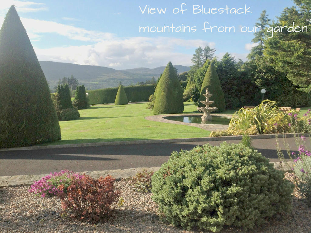 Arches Country House Donegal Town Exterior photo